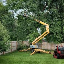 Best Pest Control for Lawns  in Wanakah, NY