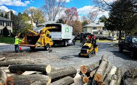 Best Landscape Design and Installation  in Wanakah, NY