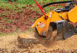  Wanakah, NY Tree Services Pros