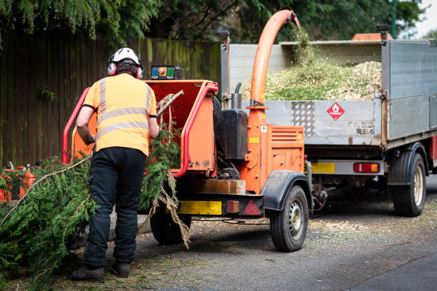 Best Weed Control  in Wanakah, NY